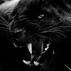 Самрат Мукатов, 06.07, Алматы