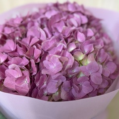 Салтанат Рамазанова, 20.02.1988, Байконур