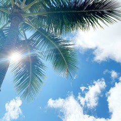 Yuls Rukhlina, 26.06.1987, Tokyo