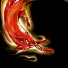 Алексей Вишникин, 12.01.1986, Кемерово