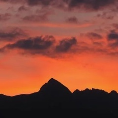 Александр Цывцын