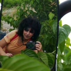 Александра Падун, 15.09.1968