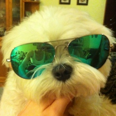 Игорь Шитов, 06.07, Москва