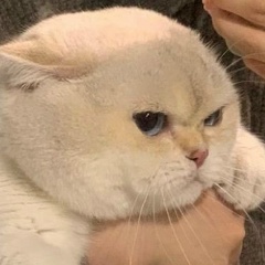 Алмаз Твоей души, 19.07, Москва