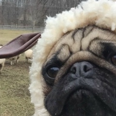 Виталий Баслов, 26.07, Санкт-Петербург