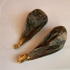 Леонид Ельцов, 28.04, Пермь