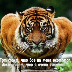 Раска Булаев, 24.06.1987, Санкт-Петербург