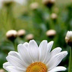 Айнур Жунусова, 13.07.1987, Алматы