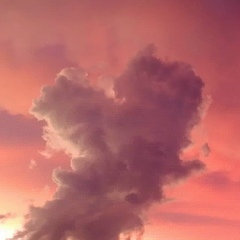 Елена Р, Москва