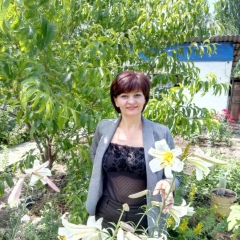 Елена Кажомина, Тараз