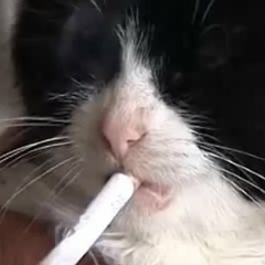 Евгений Дуваненко, 24.10