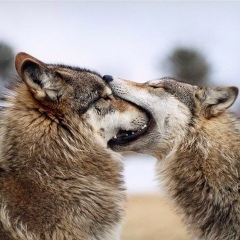 Игорь Шмаков, 21.01.1988, Волгодонск