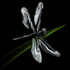 Меруерт Serikovna, 02.05, Алматы