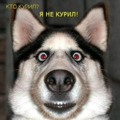 Игорь Черлин, 09.02, Минск