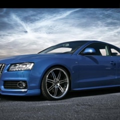 Денис Куринский, 01.09, Бердичев