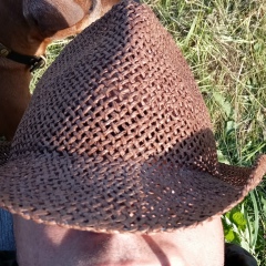 Алексей Евсин, Санкт-Петербург