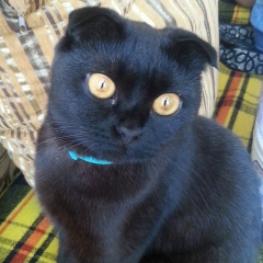 Айдана Ахметжанова, 13.10.1992, Караганда