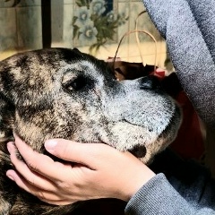 Светик Барикова, 12.01.1985, Санкт-Петербург