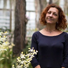 Виктория Логачева, Киев