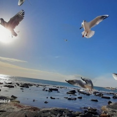 Жайлы Омирбаева, 18.10.1992, Актау