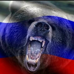 Дмитрий Стрелов, 08.05.1983, Санкт-Петербург