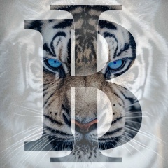 Изат Багаутдинов, 31.05