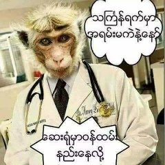 Mudone Tarlay, 14.04.1982