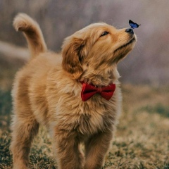 Анна Шевченко, 05.02.1990, Харьков