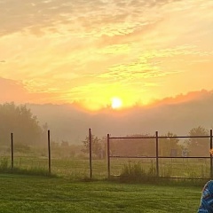 Альбина Рафаэльевна, Орёл