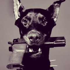 Виктория Байбулатова