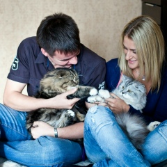 Настена Кислицына, Новосибирск