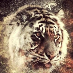 Didar Kidirbai, 14.03, Алматы