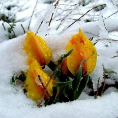 Амангуля Жумагалиева, 09.07, Алматы