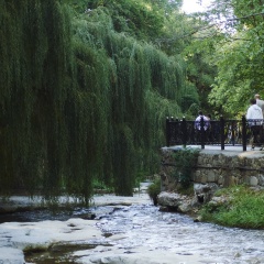 Ольга Шарий, 17.07.1995, Москва
