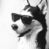 Александр Букреев, 27.03, Toronto