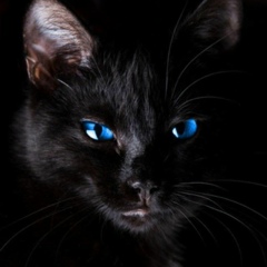 Nadi Dolgova, Москва