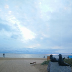 Ринат Каюмов, 01.01.1976, Санкт-Петербург