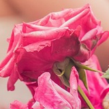 Анна Nuryeva, 05.11, Москва