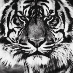 Кайсар Нурмуканов, 03.07, Алматы