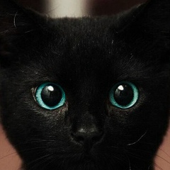 Кристина Табунщикова, 23.02, Ростов-на-Дону