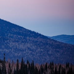 Никита Анульев, Москва