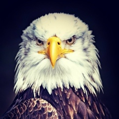 Askarbek Kulmanov, 22.10, Рязань