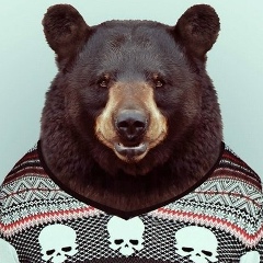 Михаил Санчес, 28.03.1986, Санкт-Петербург