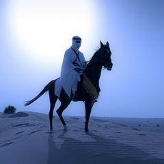 Хасан Цугаев, 04.05.1995, Грозный (поселок)