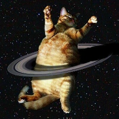 Роман Анатольевич, 07.11.1985