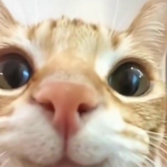 Натусик Г, 27.08