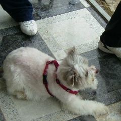 Tucinegratis Es, 29.11.1988, Valencia