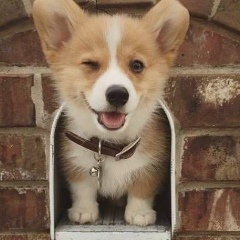 Олександр Макарицький, 18.05, Сарны