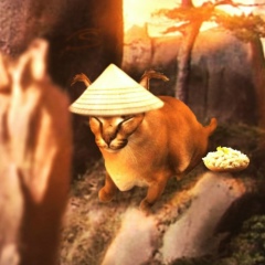 Тарас Цуркан, 04.12