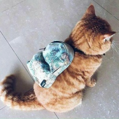 Светлана Пироженко, 25.11.1983